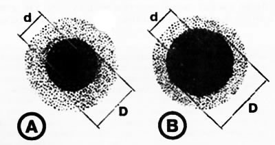 A) масло с низким уровнем диспергирующих свойств,