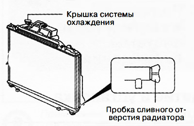 3. Отвернуть пробку сливного отверстия радиатора и слить охлаждающую жидкость двигателя в…