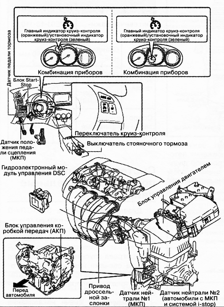 Компоненти системи круїз-контролю автомобіля з бензиновим двигуном