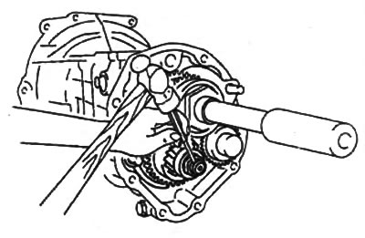 Arbore intermediar.
